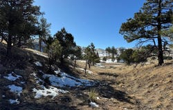 Tr 22 34th Trail, Cotopaxi, CO 81223