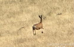 Lot 12 Webster Ranch No. 3, Horseshoe Bend, ID 83629