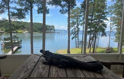 153 Holiday Drive North, Abbeville, AL 36310