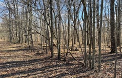 10669 CHESTERVILLE FOREST ROAD, MILLINGTON, MD 21651