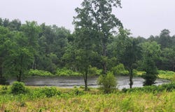 TBD Highway 298 E, Story, AR 71970-9999