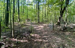 4983 Blackberry Lane, Elmira, MI 49730