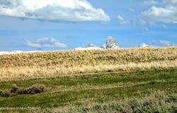 2084 MOOSE PATH Way, Tetonia, ID 83452
