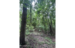 Pine Bluff Road, Cruger, MS 38924