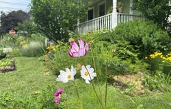 9 Lincoln Street, Rockland, ME 04841