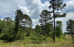 Rastus Ryals Rd, SEMINARY, MS 39479