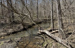 0 Prior Station, Cedartown, GA 30125