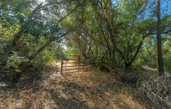 1765 French Gulch Road, Murphys, CA 95247