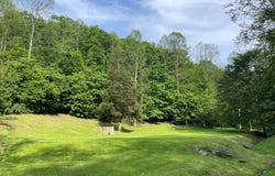 317 Turkey Crum Branch, Inez, KY 41224