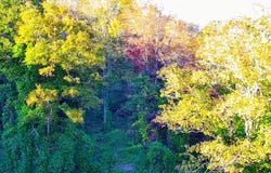 305 Moores Branch Road, Booneville, KY 41314