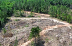000 CR 5217, Ethel, MS 39067