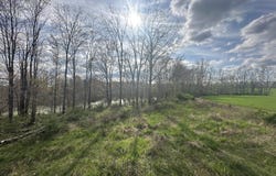 Maple Dale Road, Horton, MI 49246