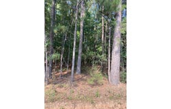 New Smith Rd, Abbeville, SC 29620