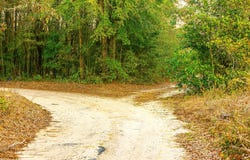 Tract 4 Festival Trail, Salley, SC 29137