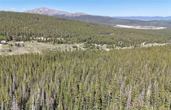 72 SUNSHINE DRIVE, Fairplay, CO 80440