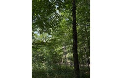 366th Street, North Branch, MN 55056
