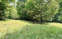 0015 S Mistys Trail, Empire, MI 49630