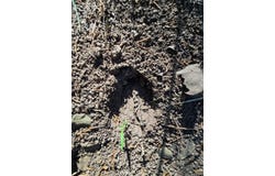 000 Buzzard Gap Development, Wilburton, OK 74578