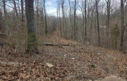 L4 B2 Bald Eagle Trail, Ozark Acres, AR 72482