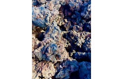 Ocean View, HI 96737