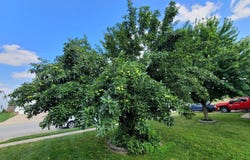 3962 Amethyst Drive Drive, Lafayette, IN 47909