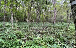 6 Slatyridge, Slatyfork, WV 26291