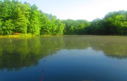 460 County Road 208, Fayette, MO 65248