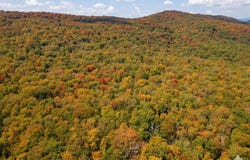 HALTERMAN HOLLOW LN, MONTEREY, VA 24465