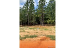 Deer Loop lot: 16, Camden, AL 36726
