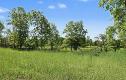 E Charles Road, Ionia, MI 48846