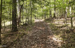 115 Beaver Way, Willsboro, NY 12996