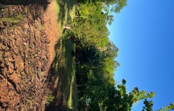 271 Pebble Hill, Milledgeville, GA 31061