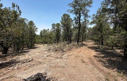 of Hwy 217, Tijeras, NM 87059