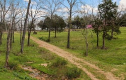 123 Fossil Cove Road, Cape Fair, MO 65624
