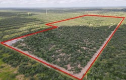 141 Villareal Road, Roma, TX 78584