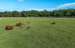 12580 Briar Road, Azle, TX 76020