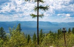 184 Orion Drive, Whitefish, MT 59937