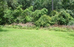 Wayne Lane, Biloxi, MS 39532