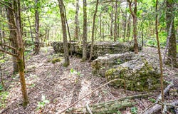 000 County Rd 424, Squires, MO 65755