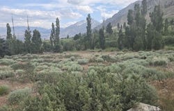 1239 Swall Meadows Rd, Bishop, CA 93514