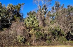 11147 W STATE PARK ST, Other City - In The State Of Florida, FL 34428
