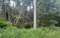 8,9,10&14 Kent/Bar Island/Wohoa Bay Road, Addison, ME 04606