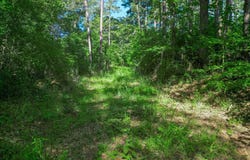 417 WALTER LN, Jefferson, TX 75687