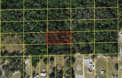 POLK CITY, POLK CITY, FL 33868