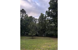 1720 Mountain View Rd, Locust Grove, AR 72550