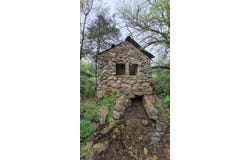 000 Wolfe Drive, Mountain Grove, MO 65711