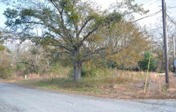 308 Oak Drive, Iva, SC 29655