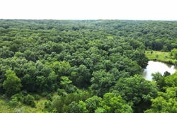 000 Flick Rd, Queen City, MO 63561