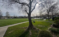8224 Shay Cir, Stockton, CA 95212