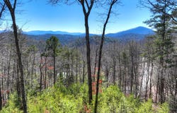 78 Brass Hill Road, Blue Ridge, GA 30513